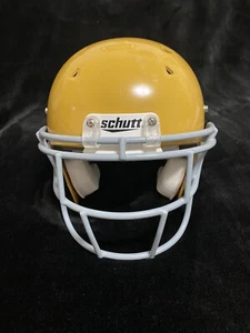 Casco de fútbol americano grande Schutt Youth FB 7960 DNA - temporada 2010 - prepropietario, excelente estado - Imagen 1 de 12