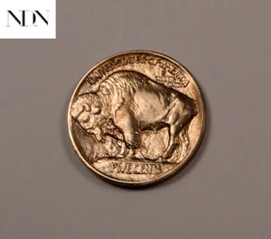 1913 TIPO 1 Buffalo Nickel - Gema BU++ - ¡Mejor fecha! - TY1 - #B628 - Imagen 1 de 3