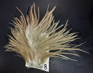 Sandy Blue Dun Saddle Hackle Thin Rooster Dry Fly Tying Hair Feathers #8 - Picture 1 of 4