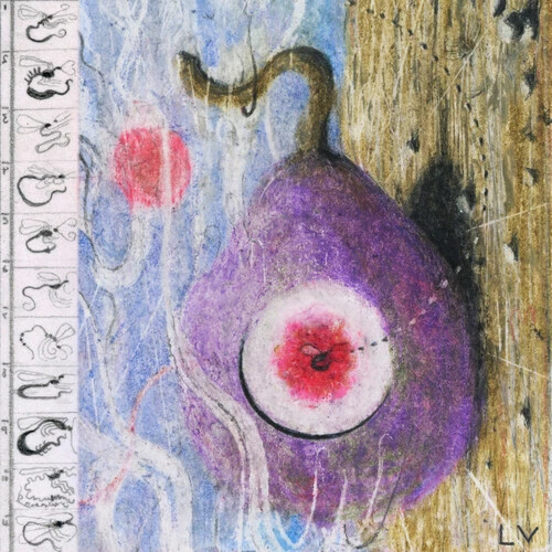 Inside Every Figis a Dead Wasp by Lunar Vacation (Record, 2021)