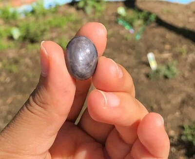 Large Natural Sri Lanka Star Sapphire 39ct - Image 1 of 4