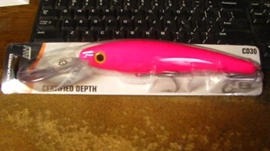 Bomber "CD 30" Crankbait, 8", 4 oz, Neu in Verpackung, kostenloser Versand - Bild 1 von 2