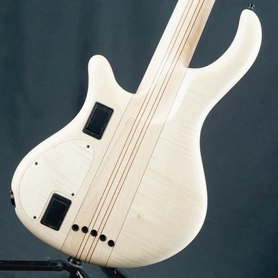 Mayones Used Patriot Mr5 Fretless Maurizio Rolli Signature Safe delivery from Ja - Image 1 of 4