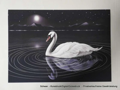Schwan auf See -  Kunst/Digital/Gicleedruck - Bild 1 von 3