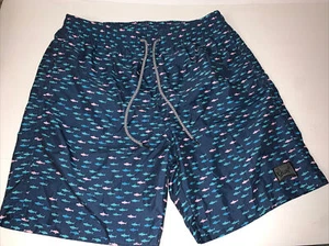 Beautiful Giant Mens Large Beach Vacation Swimwear Swim Trunks - Picture 1 of 6