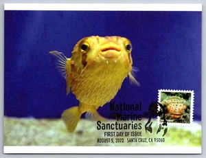 5713a National Marine Sanctuaries Balloon Fish FDC Maxi Card w/Pictorial Cancel - Picture 1 of 2