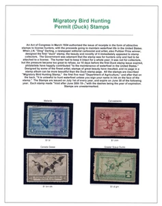 US 1935-1978 COLLECTION OF 43 DUCK HUNTING STAMPS, MOSTLY USED, SOME UNSIGNED - Picture 1 of 6
