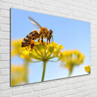 Wandbild aus Plexiglas® Druck auf Acryl 100x70 Blumen & Pflanzen Biene Blume