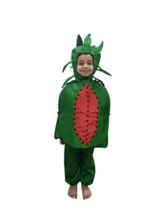 Kids Fruit Costume Outfit Novelty Fruit&Veggie Cosplay Performance Stage Costume - Picture 1 of 12