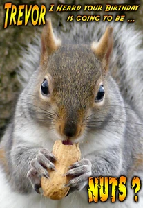Squirrel Goes Nuts PERSONALISED Happy Birthday Greeting Card animal Stag night - Picture 1 of 7