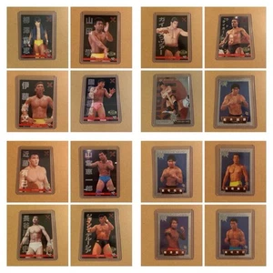 22 Pancrase Hybrid Wrestling Cards LOT - JAPAN RINGS UWF FMW PRIDE MMA WWE UFC - Picture 1 of 24