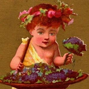 Gilt "Mai" Child Gathers Flowers (Soapine) Unmarked Victorian Trade Card - Picture 1 of 3