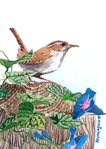 ACEO ORIGINAL watercolor, Wren, Cute bird, Bird painting, Gift idea