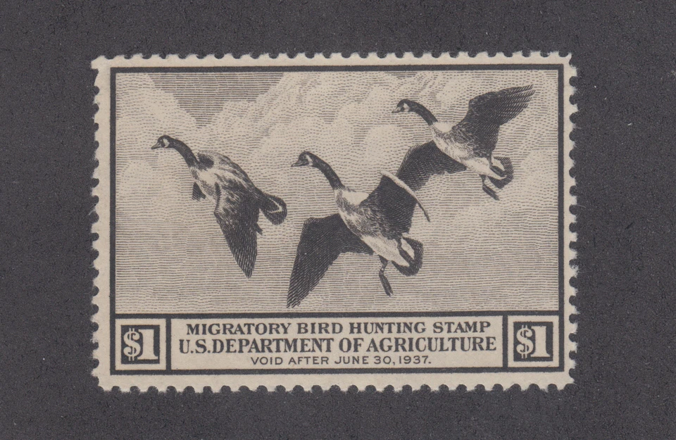 US Sc RW3 MLH. 1936 $1 Duck Hunting Permit Stamp   - Image 1 of 1