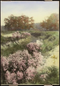"Percy F Murray, Antiguo C1920 Coloreado a Mano ""Estampado Murray"" PAISAJE DE NUEVA INGLANDIA - Imagen 1 de 1