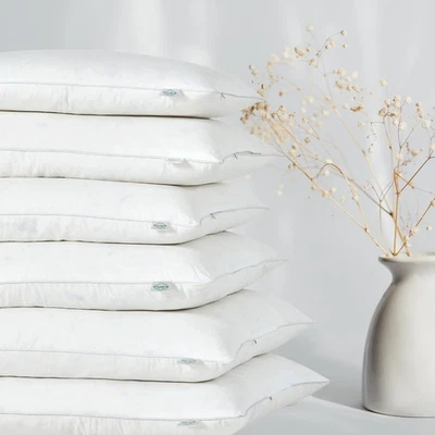 Cloudote Goose Down Feather Throw Pillow Insert 20"x20" Pack of 1 - Image 1 of 3