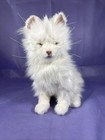White FurReal Cat 2006 Hasbro Working Condition K3