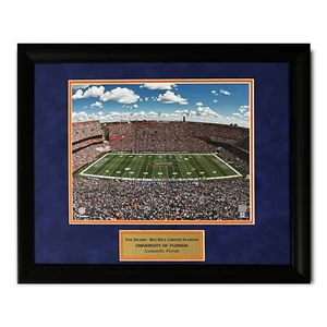 University Of Florida Gators “The Swamp” Photograph Framed to 16x20 - Picture 1 of 1