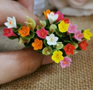 Casa de Muñecas Miniatura Portulaca Flores 5 Racimos Plantas Ventana Flores Decoración del Hogar - Imagen 1 de 5