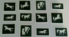 Horse Themed Stencils (Mixed) For Etching On Glass   Craft Hobby Present Etch