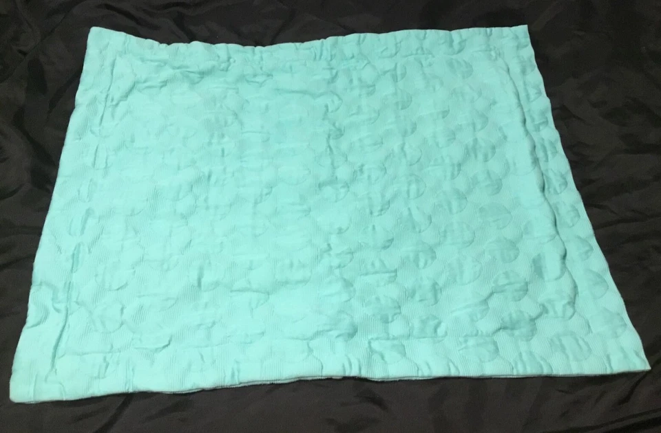 Pottery Barn Adolescente Big Dot Matelasse Std Par Falso Piscina Verde Texturizado Algodón Foto 1 de 4