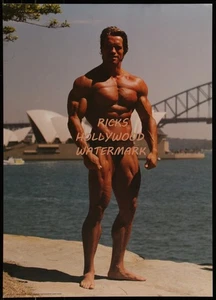 Original 1985 ARNOLD SCHWARZENEGGER Vintage Poster NOT A REPRINT Albert Busek #2 - Picture 1 of 2