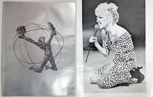 Bette Midler Souvenir Programm 1980 Entertainer des Jahres - Personal Manager - Bild 1 von 18
