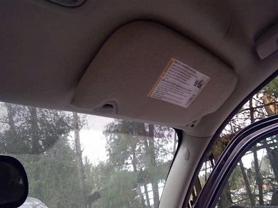 乘客右遮阳板无照明适合 05-07 ENVOY 3762004 — 第 1/4 张图片