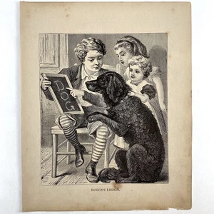 Antik 1879 Gravur Doggy’s Lesson Alt 1800’s Kunstdruck Lehre Hund Tricks - Bild 1 von 3