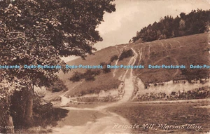 R283984 Reigate Hill Pilgerweg Nr. 67790 Frith - Bild 1 von 4