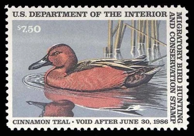 RW52 — 1985 Cinnamon teal, XF-Superb 95 NH, PSE Certificate - Image 1 of 2