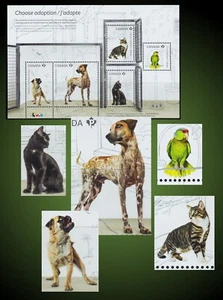 DOGS PUG PUPPY GERMAN SHORTHAIRED POINTER CATS AMERICAN SHORTHAIR BOMBAY PARROT - Picture 1 of 1