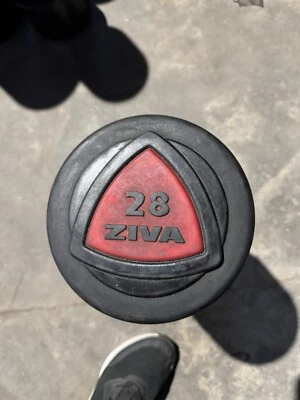 Mancuernas de uretano ZIVA 28 kg - Se venden en par Foto 1 de 3