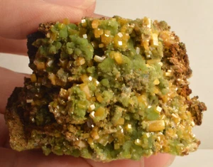 #6129 Wulfenite on Bright Green Mimetite - Mapimi, Mexico - Picture 1 of 8
