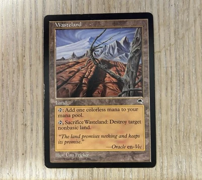 Wasteland Tempest 1997 Excellent Mtg Magic The Gathering Illus. Una Fricker - Image 1 of 2