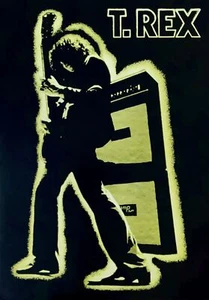 Póster de importación T Rex Mark Bolan Reino Unido 23,5 x 33 - Imagen 1 de 1