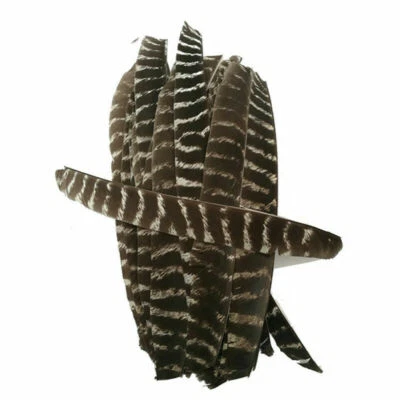 Full Length Archery Natural Turkey Feather Fletching Right Left Wings DIY Arrows - Image 1 of 4