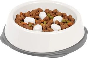 IRIS Slow Feeder Dog Bowl Anti-Choking & Anti-Slip for Healthy Digestion - Picture 1 of 5