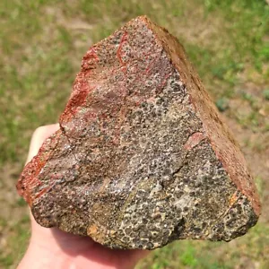 LEOPARD SKIN JASPER LAPIDARY ROUGH FROM MEXICO 5LBS 2.2OZ - Picture 1 of 8