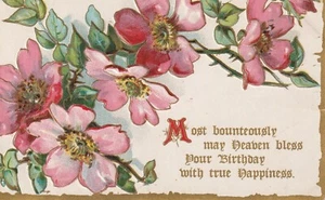 Vintage Postcard 1908/1909 Boss P.C. # 205 printed birthday card apple blossom - Picture 1 of 2