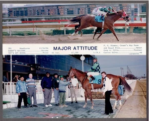 Hawthorne Pferderennbahn 16.11.96 Major Attitude 8"x10" Rennbahn Sieg Foto - Bild 1 von 4