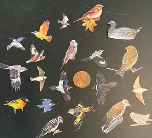 Pkg of 125 Fussy Cut Small Birds for Paper Crafters Junk Journals Mixed Media - Picture 1 of 2