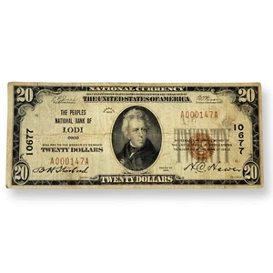 1929 $20 Peoples Bank of Lodi Ohio Note National Currency (Type 1) Low Serial # - Picture 1 of 8