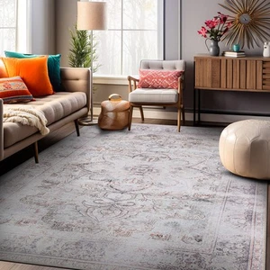 Rugs for Living Room Bohemian Distressed Vintage Machine Washable Bedroom Rugs - Picture 1 of 40
