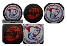 1996-97 CHAMPIONS VINTAGE SOUTH CAROLINA STINGRAYS ECHL RARE OFFICIAL GAME PUCK