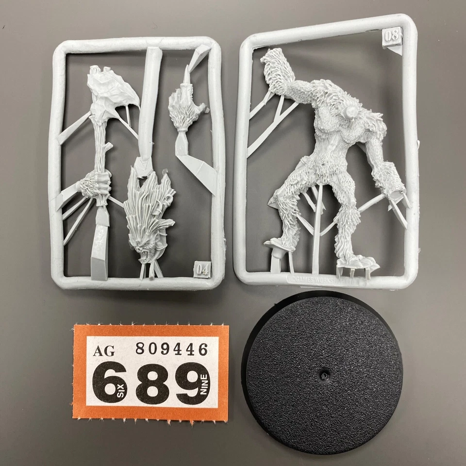 ICEFALL YHETEE MANEATER OGRE OGOR KINGDOMS MAWTRIBES WARHAMMER AOS YETI - Image 1 of 1