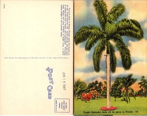Postal de colección - Tropic Splendor encuentra todo su esplendor en Florida 1947 - Imagen 1 de 1