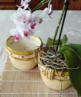 1 Sehr Hübscher Blumen Topf"Bambus" Ton Ecru/grün 6x7cm NP:6,99 Ohne Deko!BWare - Bild 1 von 4