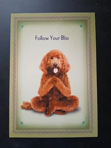 Funny Blank Card - Picture 1 of 3