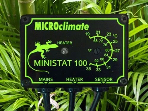 Microclimate Ministat 100 w On/Off Reptile Vivarium Thermostat Control Heating